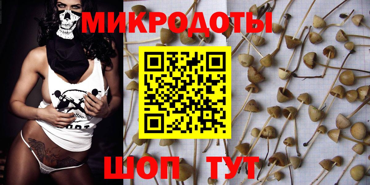 Каменка  сколько стоит  Вход с VPN  Псилоцибиновые грибы Magic Shrooms 