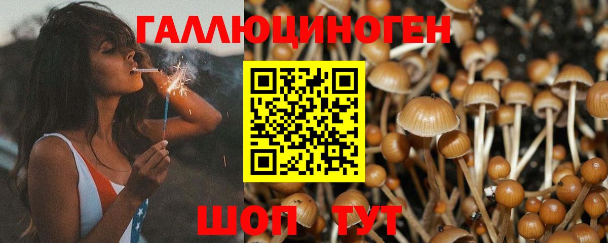 Псилоцибиновые грибы MAGIC MUSHROOMS Каменка