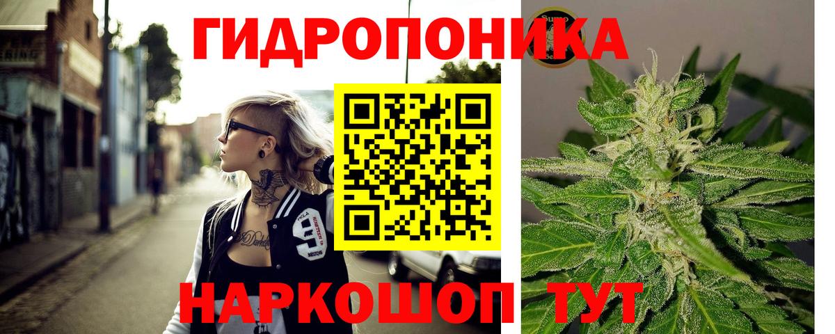 Марихуана VHQ  Бошки Шишки марихуана  Каменка  Канабис планчик  Вход с VPN  Канабис ГИДРОПОН 